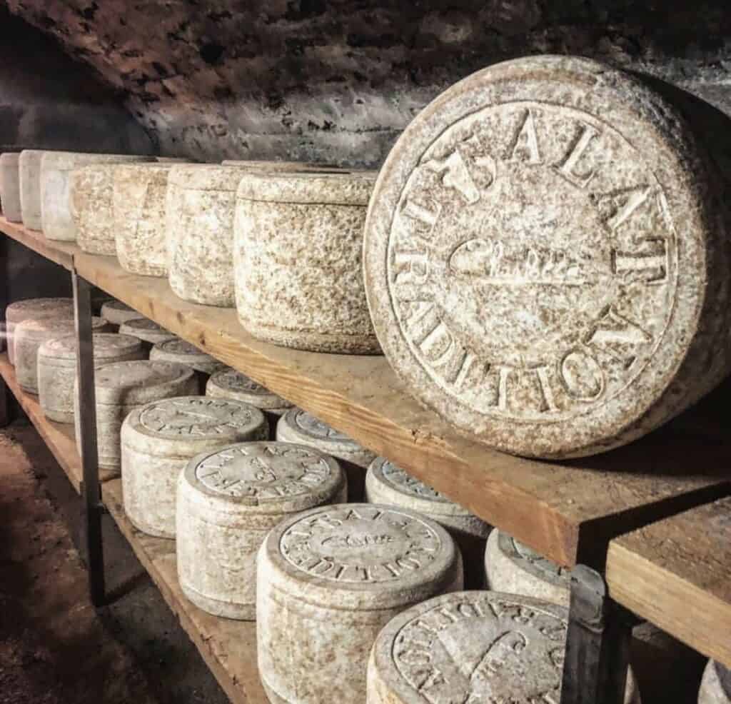 Tommes Salers alignées sur des planches dans une cave d’affinage.
