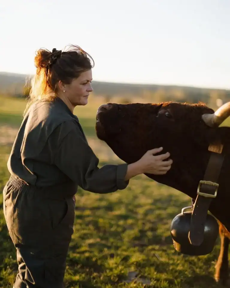 Charlotte Salat auprès d’une vache Salers dans un pâturage du Cantal.