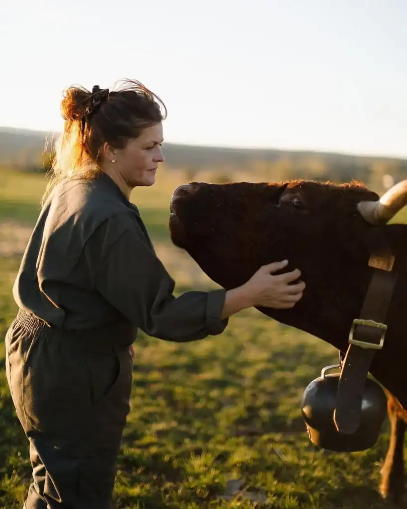 Charlotte Salat auprès d’une vache Salers dans un pâturage du Cantal.